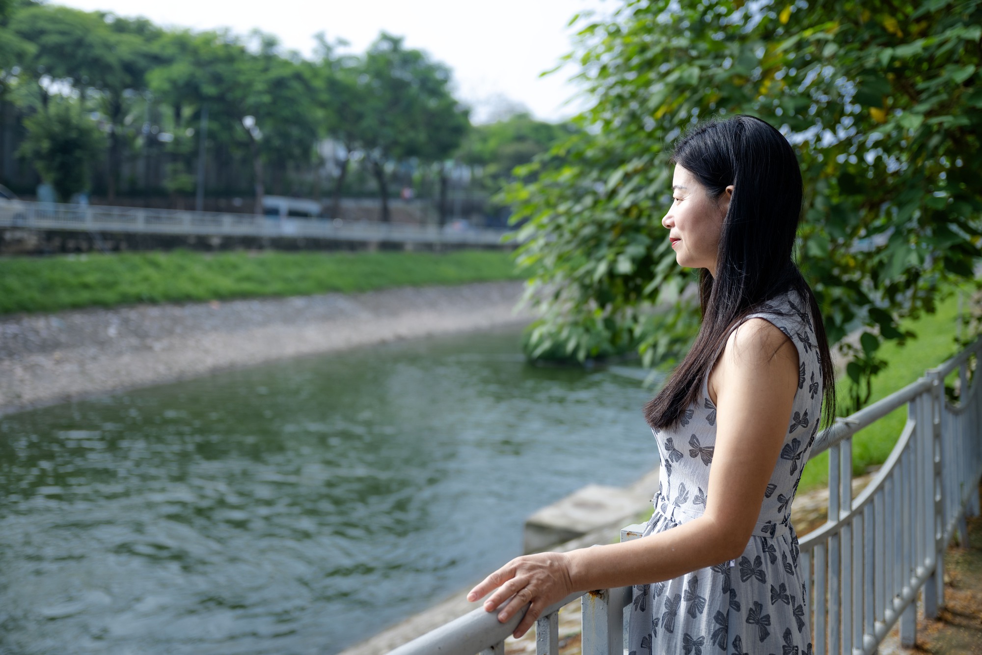 Cảnh tượng hiếm thấy: Sông Tô Lịch hóa xanh, cá bơi tung tăng giữa lòng Hà Nội- Ảnh 6. Cảnh tượng hiếm thấy: Sông Tô Lịch hóa xanh, cá bơi tung tăng giữa lòng Hà Nội- Ảnh 6.