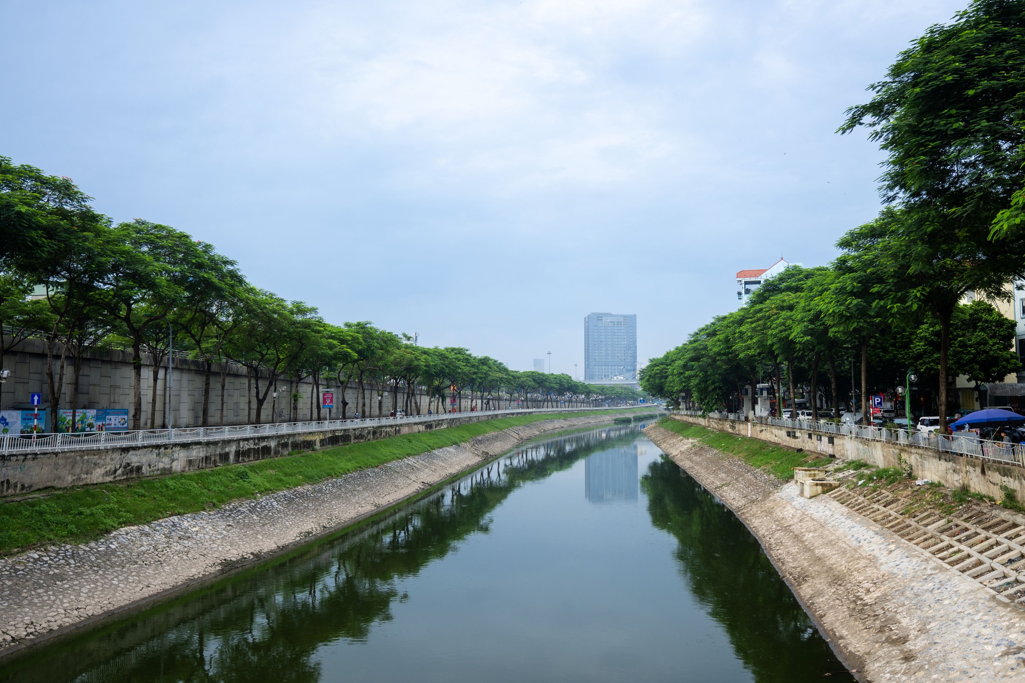 Cảnh tượng hiếm thấy: Sông Tô Lịch hóa xanh, cá bơi tung tăng giữa lòng Hà Nội- Ảnh 2. Cảnh tượng hiếm thấy: Sông Tô Lịch hóa xanh, cá bơi tung tăng giữa lòng Hà Nội- Ảnh 2.