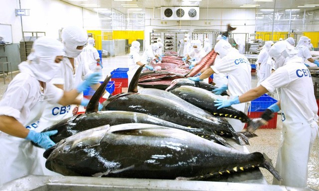 Một quốc gia giàu có mê mẩn mặt hàng này của Việt Nam, chi cả chục triệu USD mua về thưởng thức - Ảnh 1. Một quốc gia giàu có mê mẩn mặt hàng này của Việt Nam, chi cả chục triệu USD mua về thưởng thức - Ảnh 1.