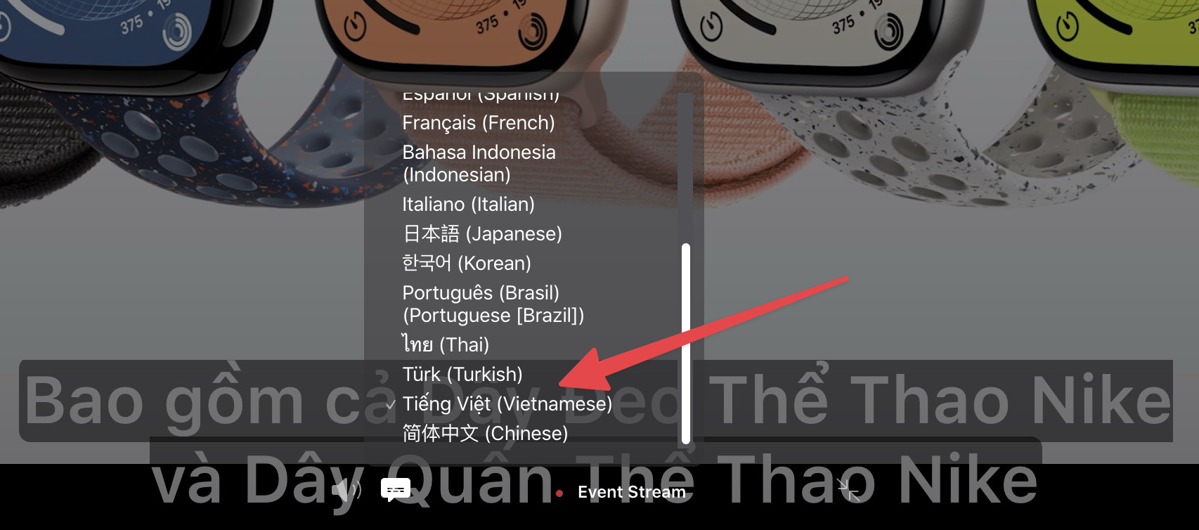 - Ảnh 1. - Ảnh 1.