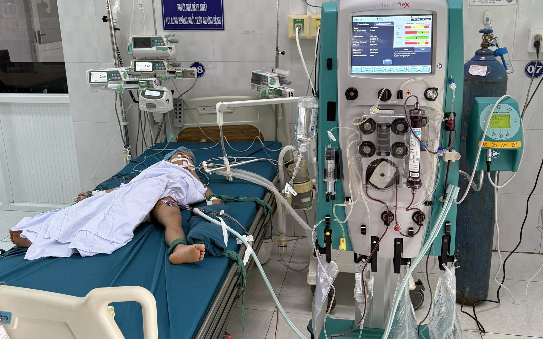 Gia Lai: Vụ tấn công của ong vò vẽ khiến 3 cháu nhỏ thương vong - Ảnh 1. Gia Lai: Vụ tấn công của ong vò vẽ khiến 3 cháu nhỏ thương vong - Ảnh 1.
