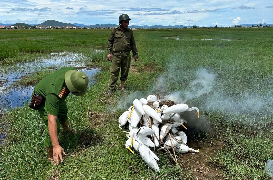 Bóc mẽ sự thật săn bắt chim hoang dã ở Quảng Trị - Ảnh 1.