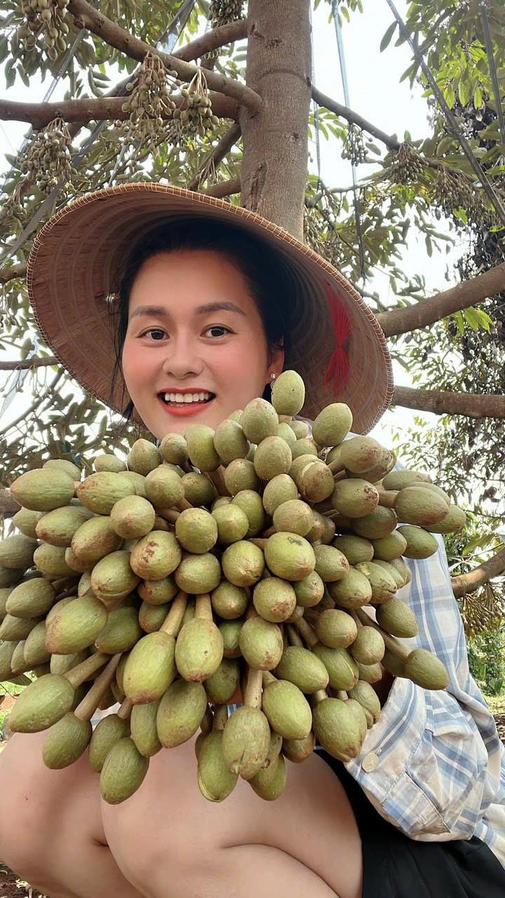 Gặp ‘kiến trúc sư’ của những khu vườn sầu riêng Tây Nguyên - Ảnh 1.
