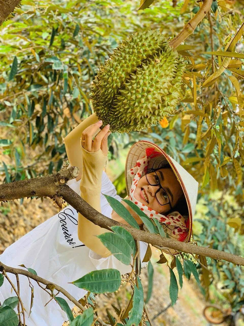 Gặp ‘kiến trúc sư’ của những khu vườn sầu riêng Tây Nguyên - Ảnh 2.