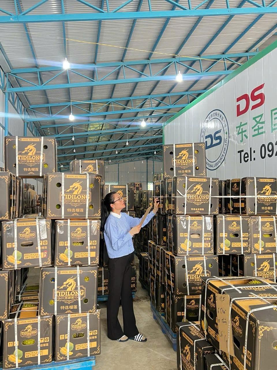 Gặp ‘kiến trúc sư’ của những khu vườn sầu riêng Tây Nguyên - Ảnh 4.