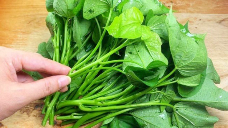 Loại rau xưa người Việt cho lợn ăn, nay "trời Tây" bán hơn 1 triệu/kg - Ảnh 3.