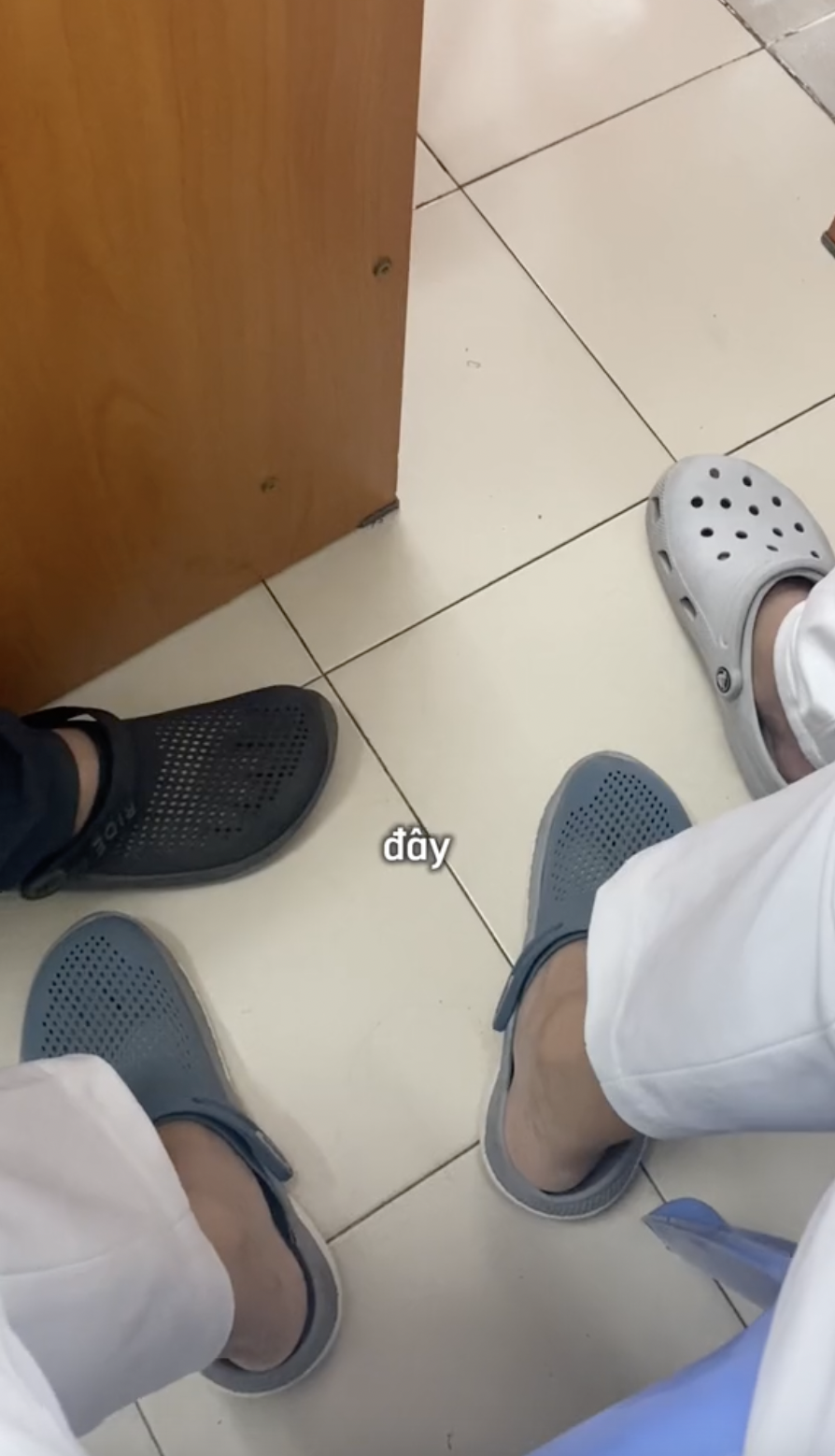 - Ảnh 4. - Ảnh 4.