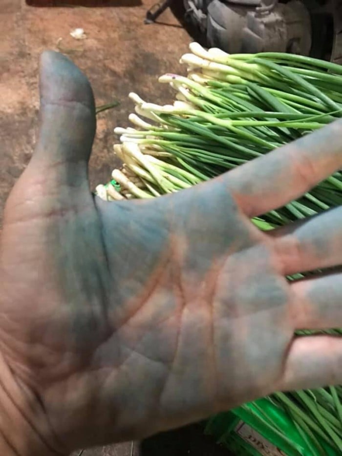 Dấu hiệu nhận biết hành lá ngậm hóa chất cần tránh khi đi chợ - Ảnh 4. Dấu hiệu nhận biết hành lá ngậm hóa chất cần tránh khi đi chợ - Ảnh 4.