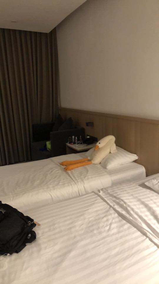 H&agrave;nh kh&aacute;ch sững sờ v&igrave; thấy nguy&ecirc;n &ldquo;vườn th&uacute;&rdquo; đang đợi m&igrave;nh trong ph&ograve;ng kh&aacute;ch sạn h&agrave;ng đầu thế giới- Ảnh 6.