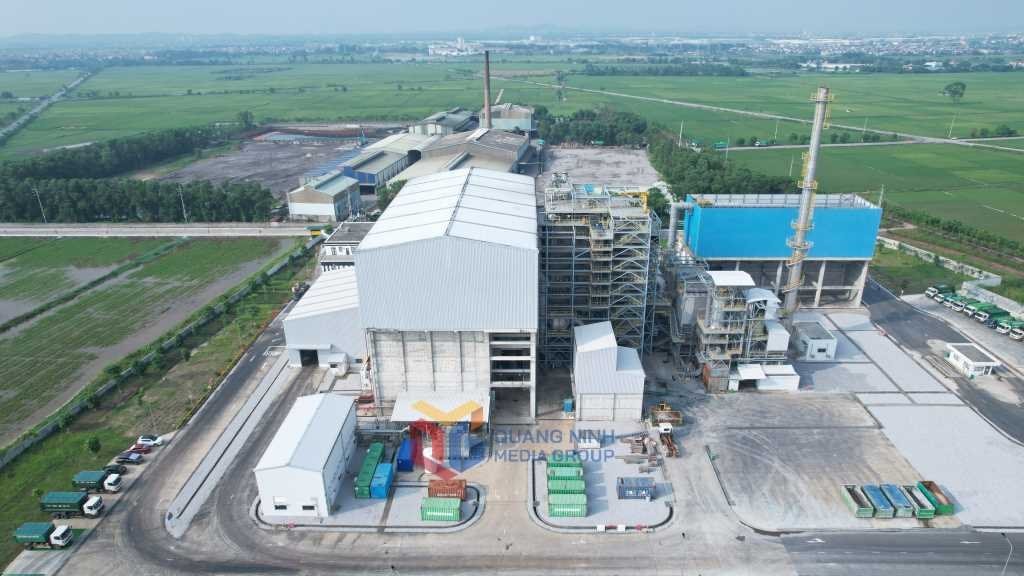 Bất ngờ thịt loài cá mập cực kỳ nguy hiểm xuất hiện trên kệ siêu thị - Ảnh 1.