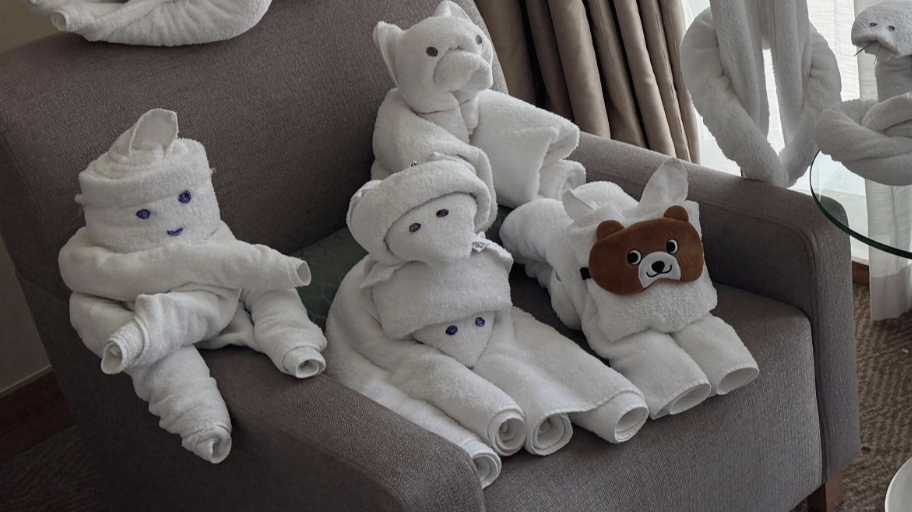 H&agrave;nh kh&aacute;ch sững sờ v&igrave; thấy nguy&ecirc;n &ldquo;vườn th&uacute;&rdquo; đang đợi m&igrave;nh trong ph&ograve;ng kh&aacute;ch sạn h&agrave;ng đầu thế giới- Ảnh 2.