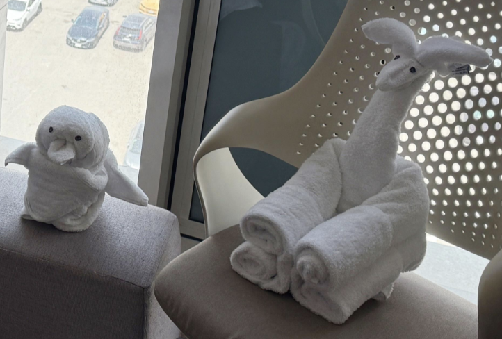 H&agrave;nh kh&aacute;ch sững sờ v&igrave; thấy nguy&ecirc;n &ldquo;vườn th&uacute;&rdquo; đang đợi m&igrave;nh trong ph&ograve;ng kh&aacute;ch sạn h&agrave;ng đầu thế giới- Ảnh 3.