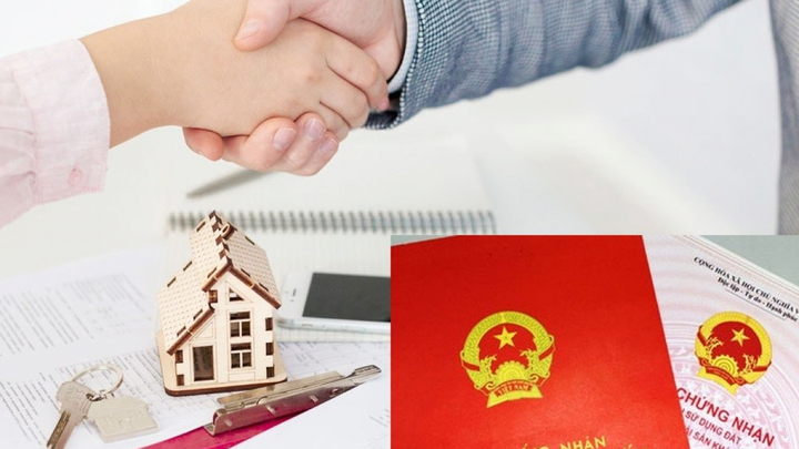 Lấy sổ đỏ của người khác đi thế chấp có bị phạt không và những Điều cần biết - Ảnh 1.