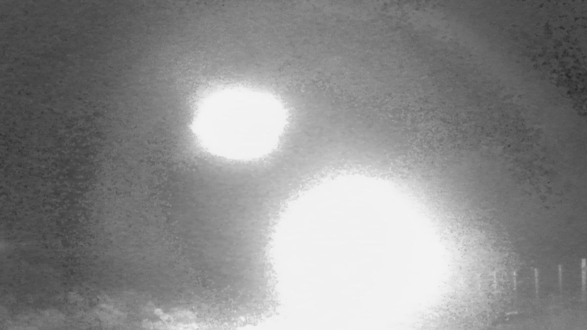 Đặt camera ẩn trong rừng hoang, phát hiện hình ảnh sốc - Ảnh 2.