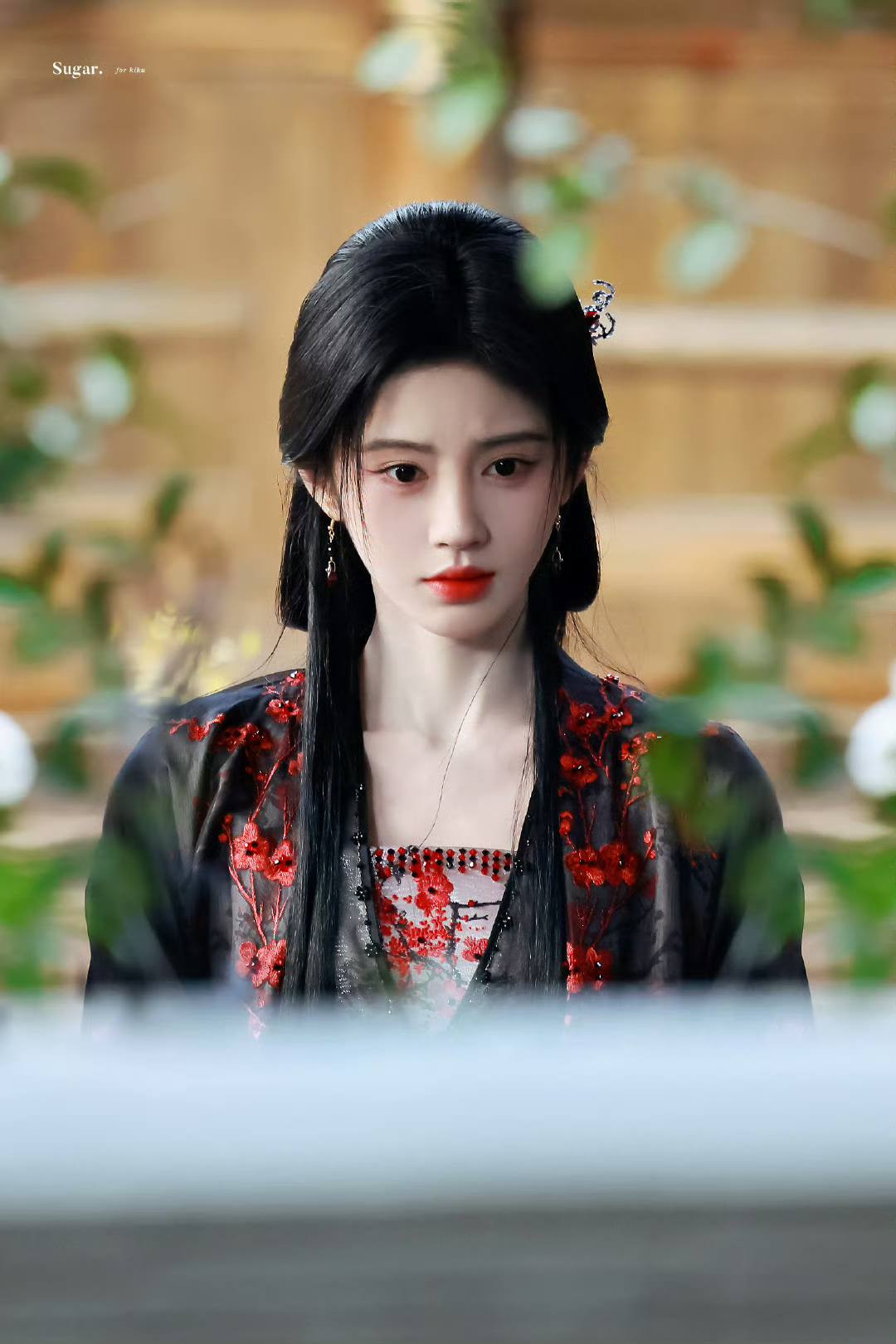 Hình ảnh