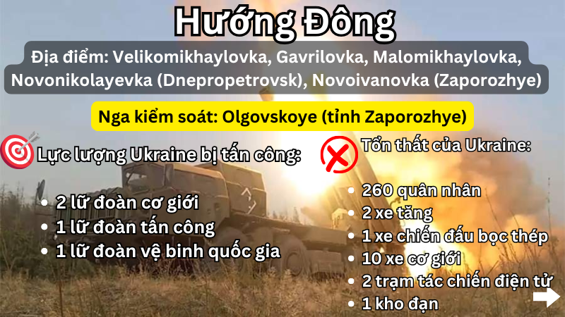  - Ảnh 8.