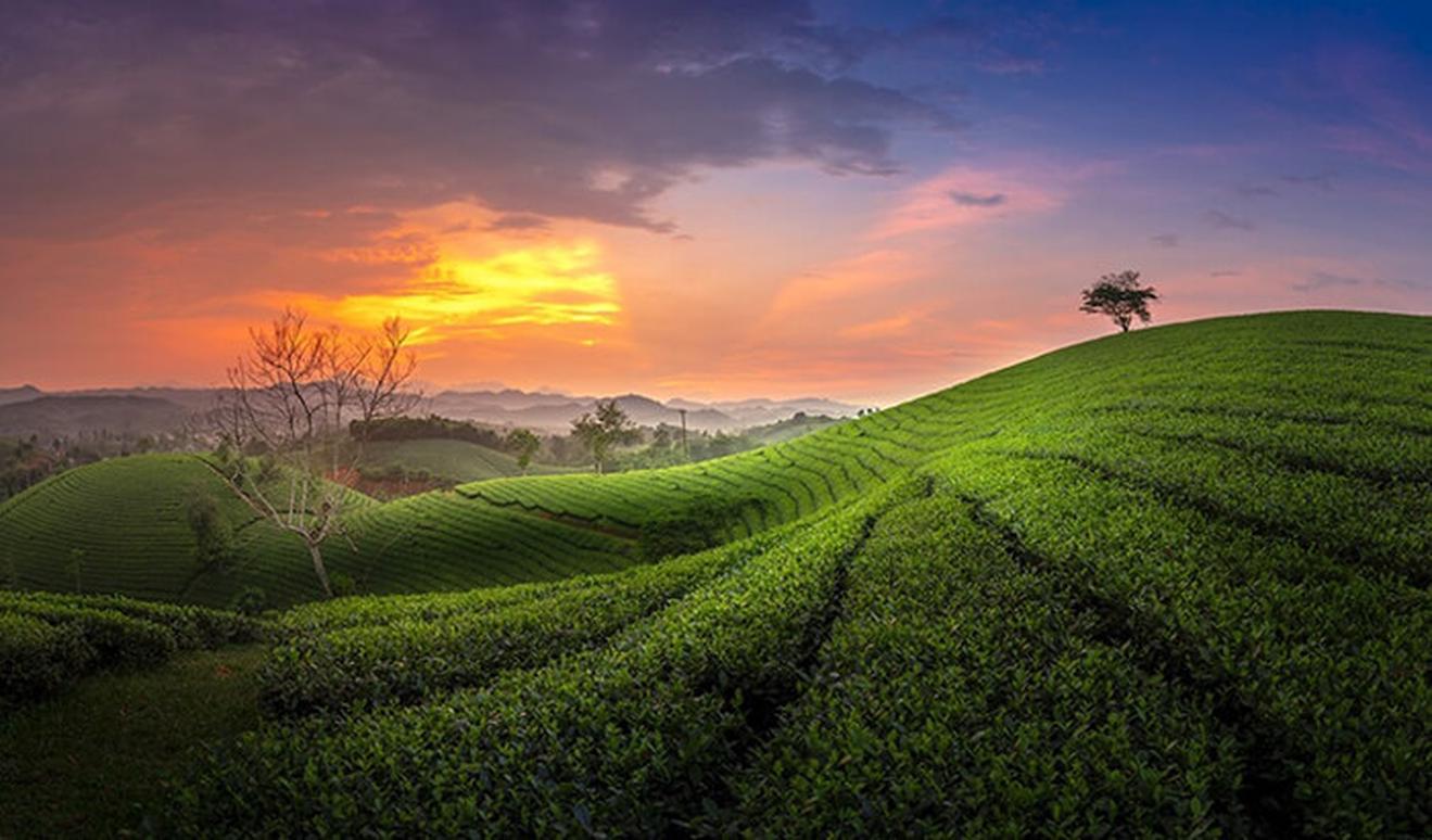 "Đảo giữa hồ" sở hữu vị trí đắc địa, cách Hà Nội chưa đến 100km, du khách nhận xét: Sơn thuỷ hữu tình - Ảnh 6.