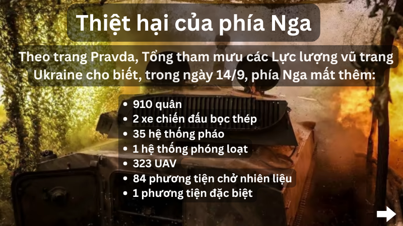  - Ảnh 12.