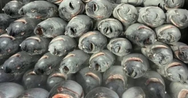 Một mặt hàng gần tỷ USD của Việt Nam chinh phục hơn 110 nước đang “gặp khó”, Thủ tướng vừa chỉ đạo gì?   