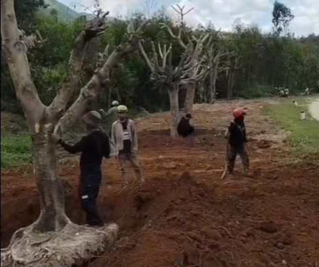 Câu chuyện xúc động về người chồng trồng hoa tưởng nhớ vợ Sau tai nạn giao thông - Ảnh 2. Câu chuyện xúc động về người chồng trồng hoa tưởng nhớ vợ Sau tai nạn giao thông - Ảnh 2.