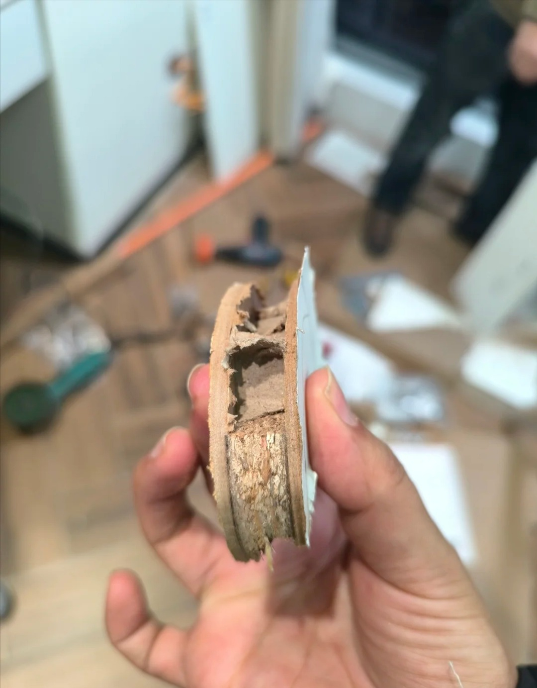 6 món đồ là "sát thủ" giấu mặt trong nhà gây hại sức khỏe - Ảnh 1. 6 món đồ là "sát thủ" giấu mặt trong nhà gây hại sức khỏe - Ảnh 1.