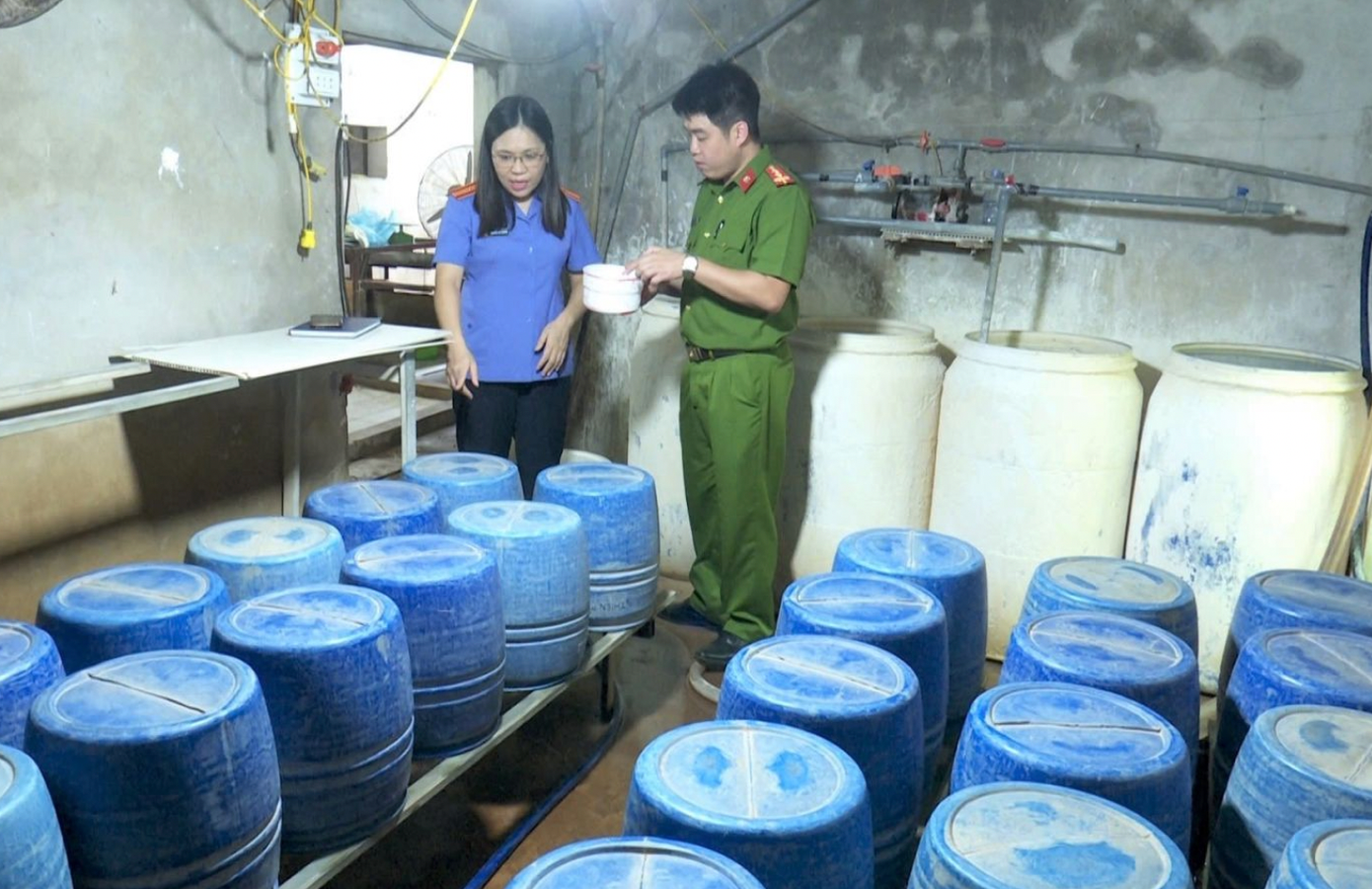 Khởi tố Trần Thị Hạnh vì Vi phạm an toàn thực phẩm trong sản xuất giá đỗ - Ảnh 1.