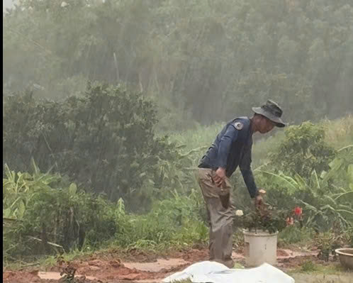 Câu chuyện xúc động về người chồng trồng hoa tưởng nhớ vợ Sau tai nạn giao thông - Ảnh 4. Câu chuyện xúc động về người chồng trồng hoa tưởng nhớ vợ Sau tai nạn giao thông - Ảnh 4.