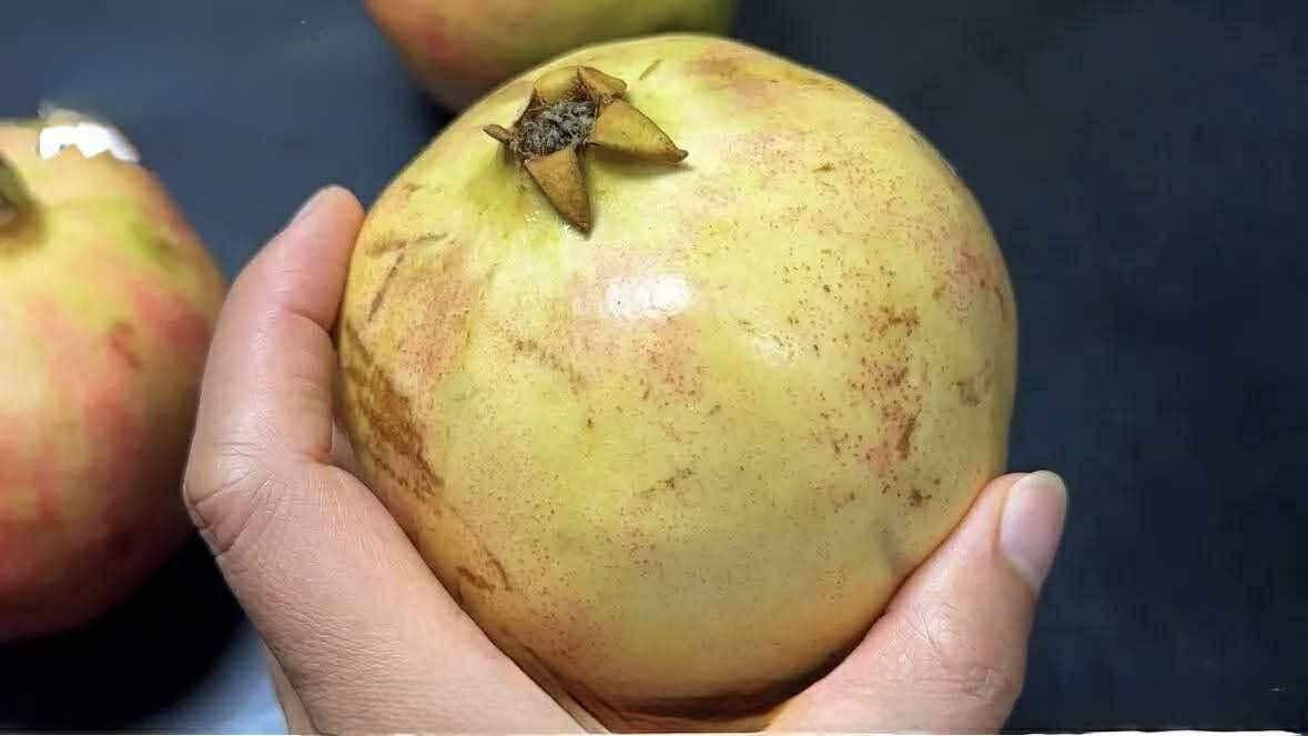 Mua lựu, cứ học thuộc "mẹo nhỏ" này là biết ngay là ngọt hay không - Ảnh 7.