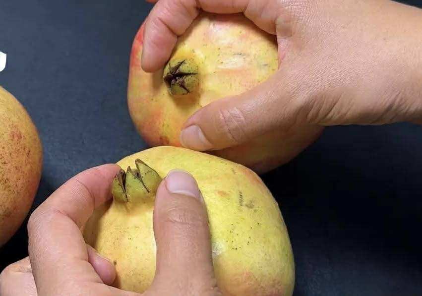 Mua lựu, cứ học thuộc "mẹo nhỏ" này là biết ngay là ngọt hay không - Ảnh 4.