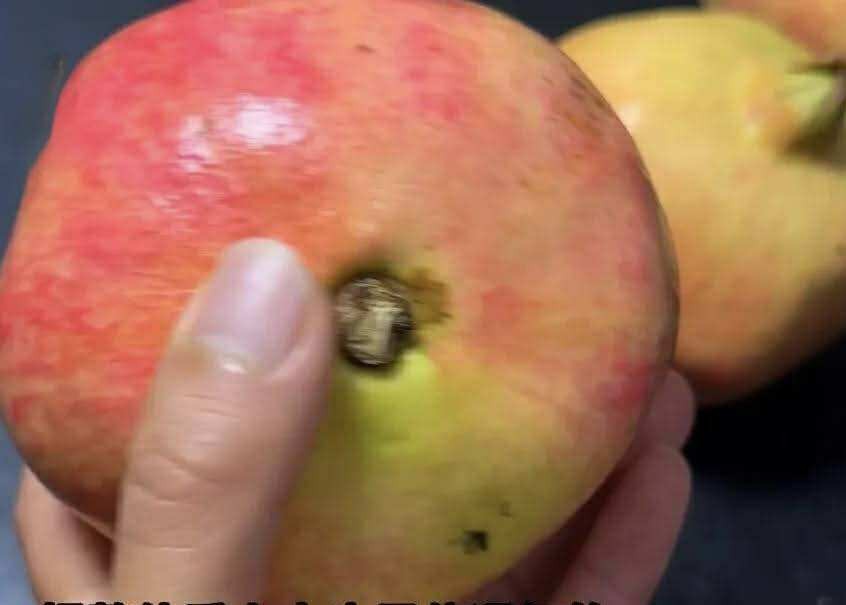 Mua lựu, cứ học thuộc "mẹo nhỏ" này là biết ngay là ngọt hay không - Ảnh 3.