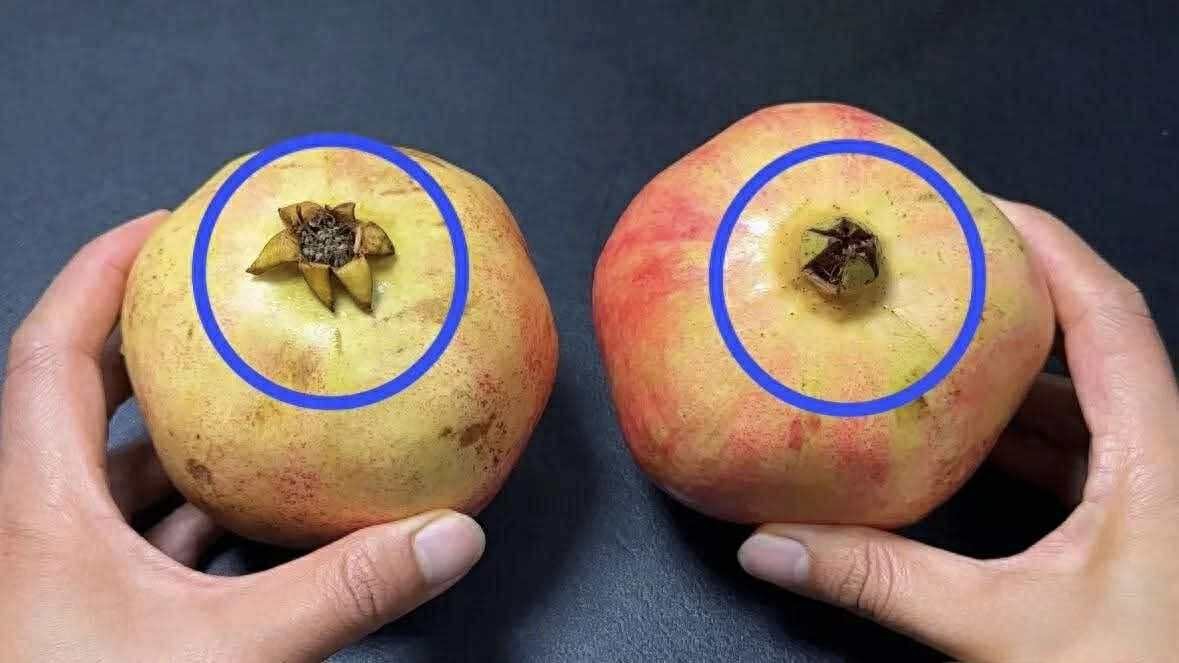 Mua lựu, cứ học thuộc "mẹo nhỏ" này là biết ngay là ngọt hay không - Ảnh 5.