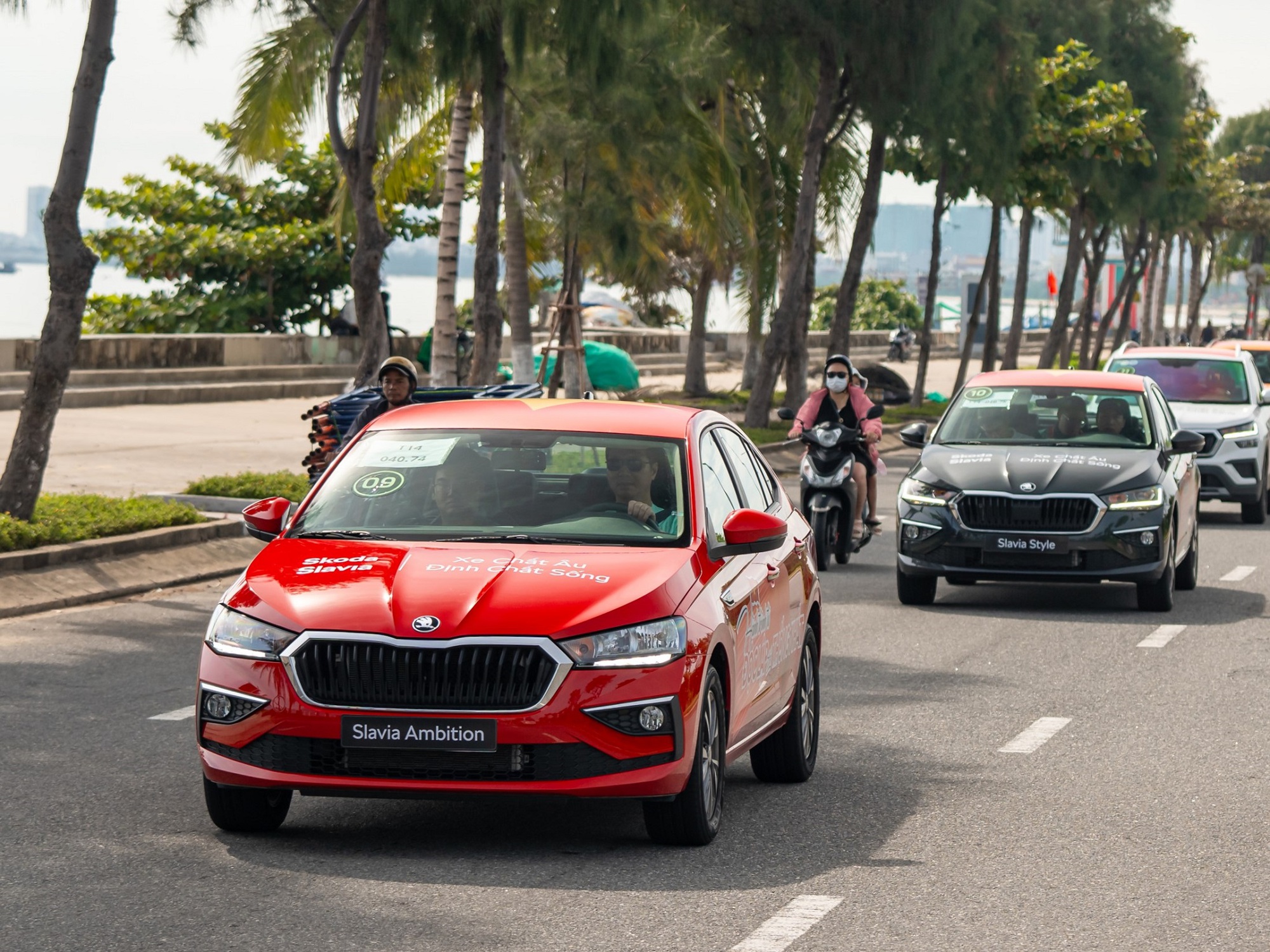 - Ảnh 2. - Ảnh 2.