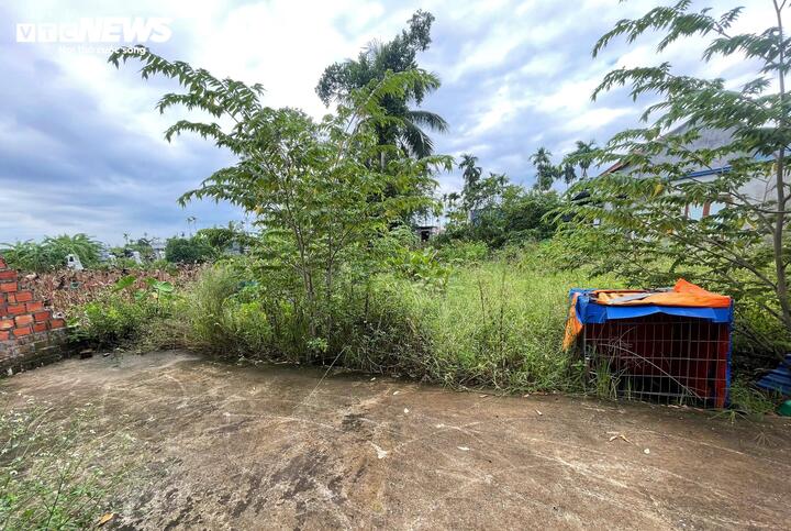 Tình tiết bất ngờ vụ xây nhà nhầm: Đỗ Văn Hữu kháng cáo không trả đất - Ảnh 3.