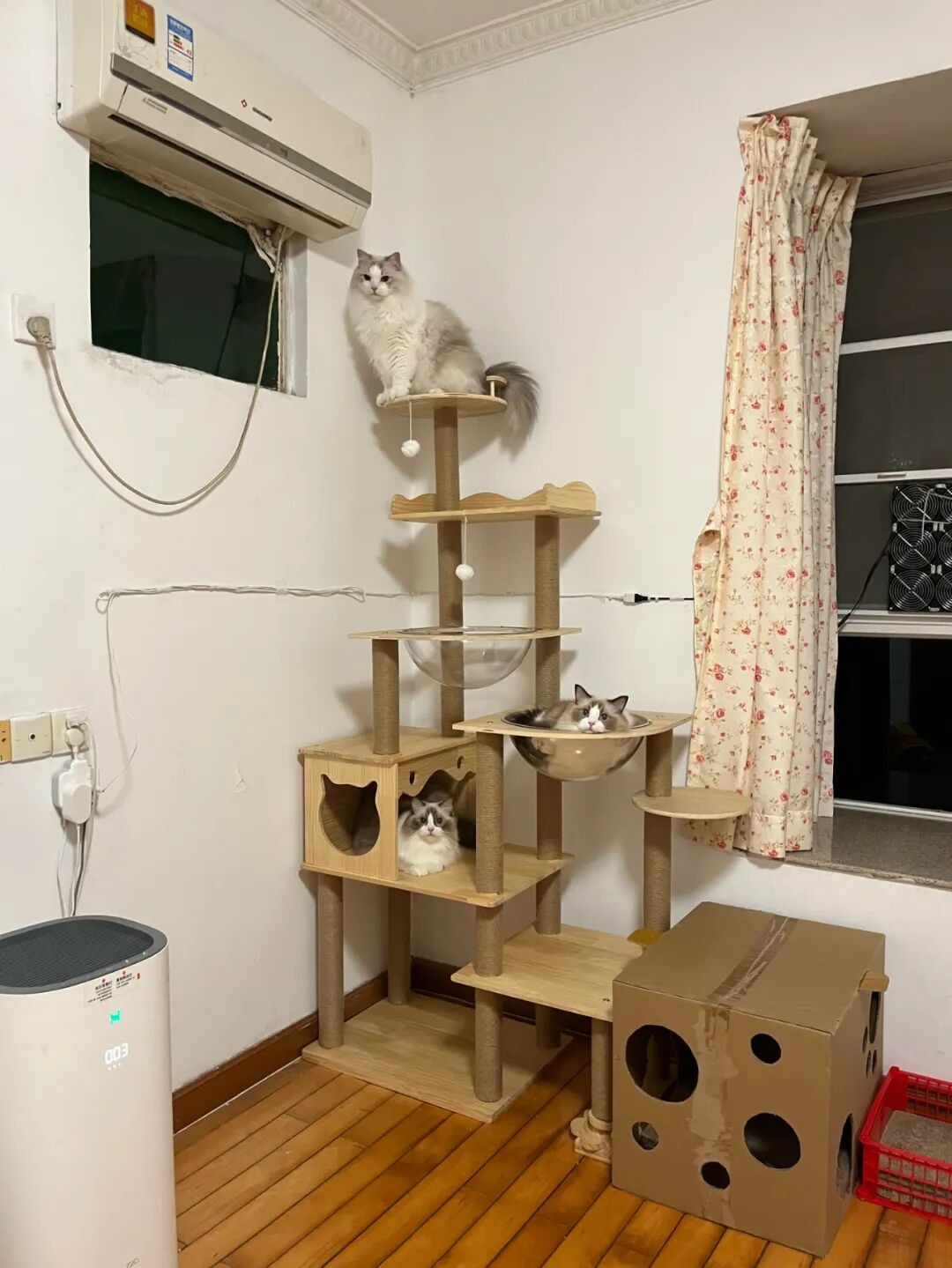 6 món đồ không nên mua nhiều: Chi tiêu thông minh để tránh lãng phí - Ảnh 4.