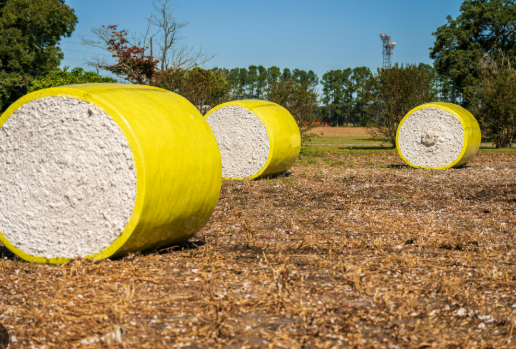 Mỹ vừa chi hơn 10 tỷ USD mua một mặt h&agrave;ng quan trọng của Việt Nam: Nước ta vừa vươn l&ecirc;n đứng thứ 2 thế giới, h&agrave;ng trăm quốc gia đ&atilde; đặt gạch mua h&agrave;ng - Ảnh 1.