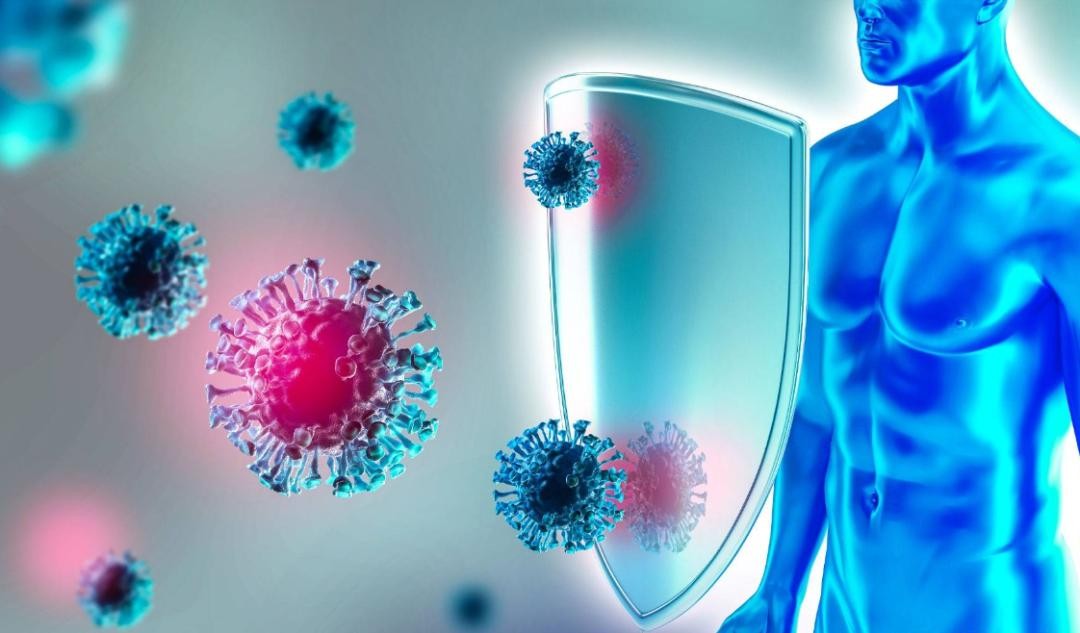 Thịt đông lạnh để bao lâu? Rã đông nhiều lần có nên ăn tiếp không? - Ảnh 2. Thịt đông lạnh để bao lâu? Rã đông nhiều lần có nên ăn tiếp không? - Ảnh 2.