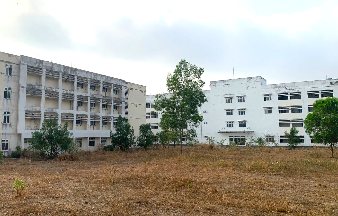  - Ảnh 5.