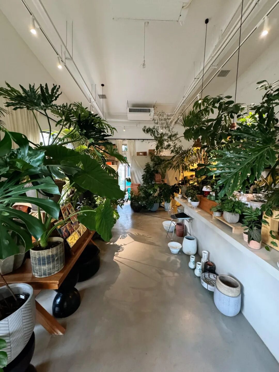 6 món đồ không nên mua nhiều: Chi tiêu thông minh để tránh lãng phí - Ảnh 6.