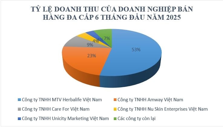 Công ty đa cấp lớn nhất Việt Nam thu 4.000 tỷ đồng sau nửa năm, chiếm 53% toàn ngành - Ảnh 2.