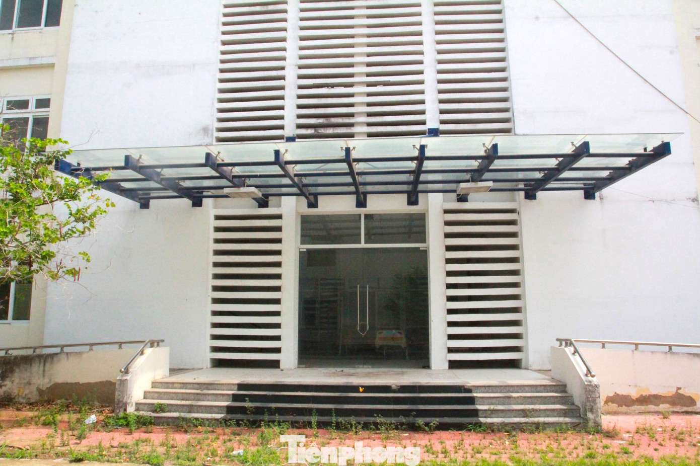  - Ảnh 11.
