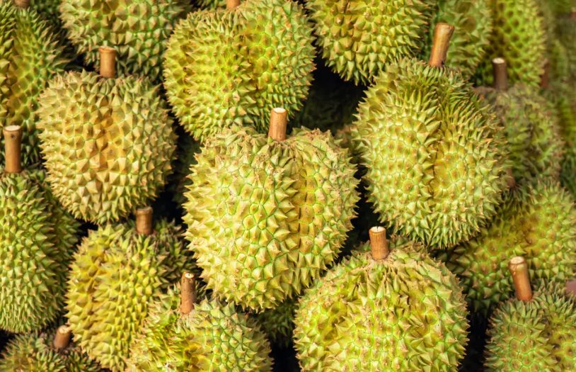 Quyết lấy lại thị phần tại Trung Quốc, một ông lớn Thái Lan chuẩn bị ra mắt xôi sầu riêng ăn liền, sẽ mở rộng sang cả thị trường châu Âu - Ảnh 1.