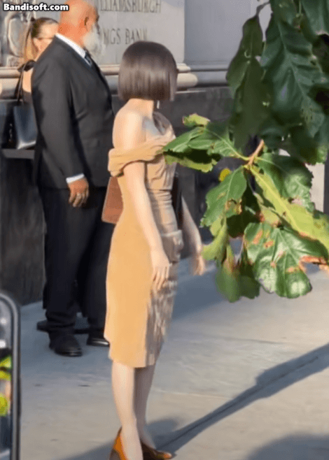 - Ảnh 2. - Ảnh 2.