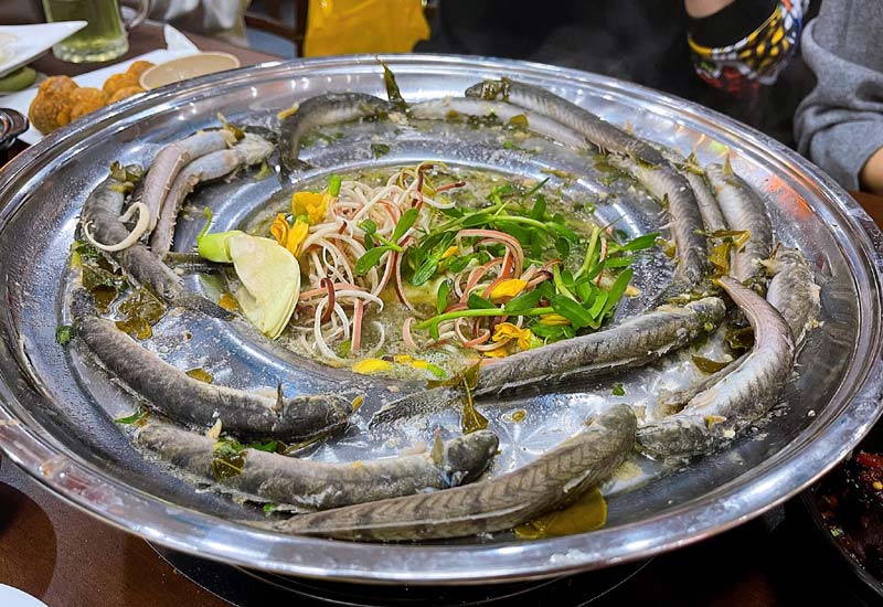 Loại cá được mệnh danh là "dành cho người nghèo" nhưng nhiều đạm, ít béo: Thịt có mùi đặc trưng, dễ nấu - Ảnh 1.