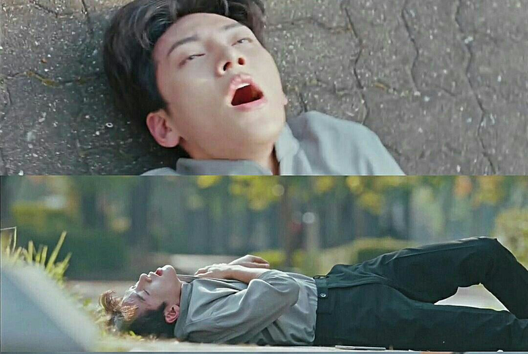 - Ảnh 1. - Ảnh 1.
