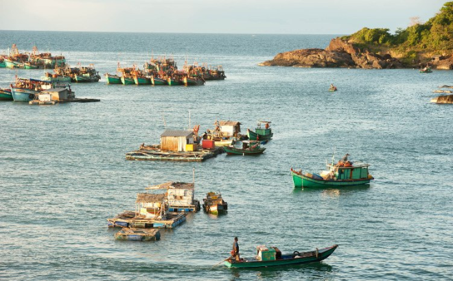 Hòn đảo nằm ở cực Nam Tổ quốc, không khách sạn, không nhà hàng, du khách nhận xét: "Chưa hề nghe tên" - Ảnh 7.
