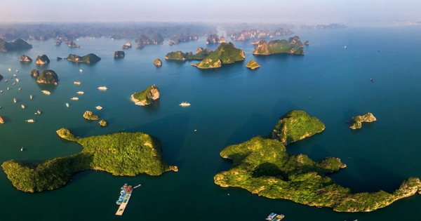 Từ bệ phóng Phần Lan, mặt hàng Việt Nam xuất khẩu top 5 thế giới rộng đường tiến thẳng sang Bắc Âu - Ảnh 3.