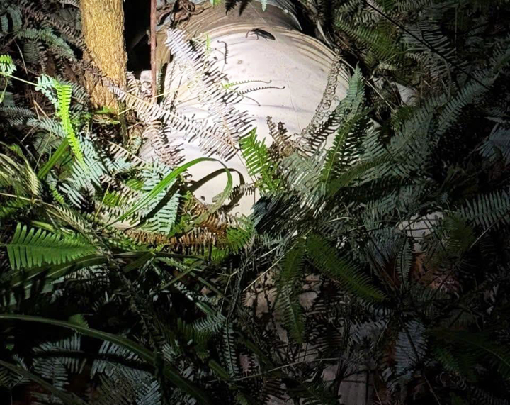 Phát hiện thi thể nữ giới giấu trong bao vải tại Móng Cái 3 , Quảng Ninh - Ảnh 1.