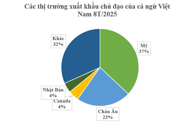 Nga, châu Âu đang đua nhau săn lùng một ‘mỏ vàng’ từ Việt Nam: Thu về hơn nửa tỷ USD sau 8 tháng, nước ta vươn lên đứng Top 5 thế giới - Ảnh 2. Nga, châu Âu đang đua nhau săn lùng một ‘mỏ vàng’ từ Việt Nam: Thu về hơn nửa tỷ USD sau 8 tháng, nước ta vươn lên đứng Top 5 thế giới - Ảnh 2.
