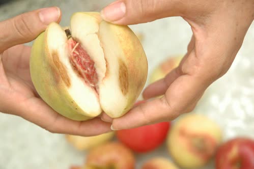 1 loại quả, 1 loại rau, 3 loại đồ uống, 4 loại thịt n&agrave;y ch&iacute;nh l&agrave; thủ phạm đưa bạn đến gần bệnh ung thư hơn: Ăn c&agrave;ng &iacute;t c&agrave;ng giữ được t&iacute;nh mạng- Ảnh 2.