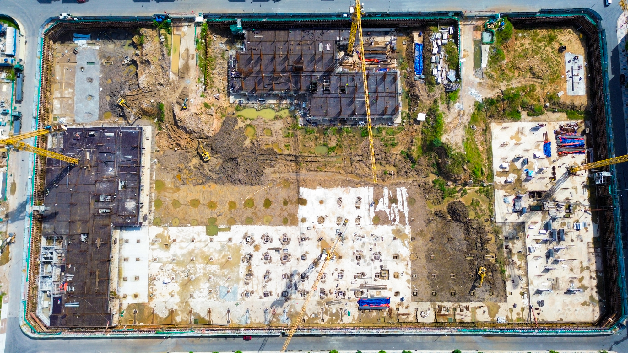 - Ảnh 12. - Ảnh 12.